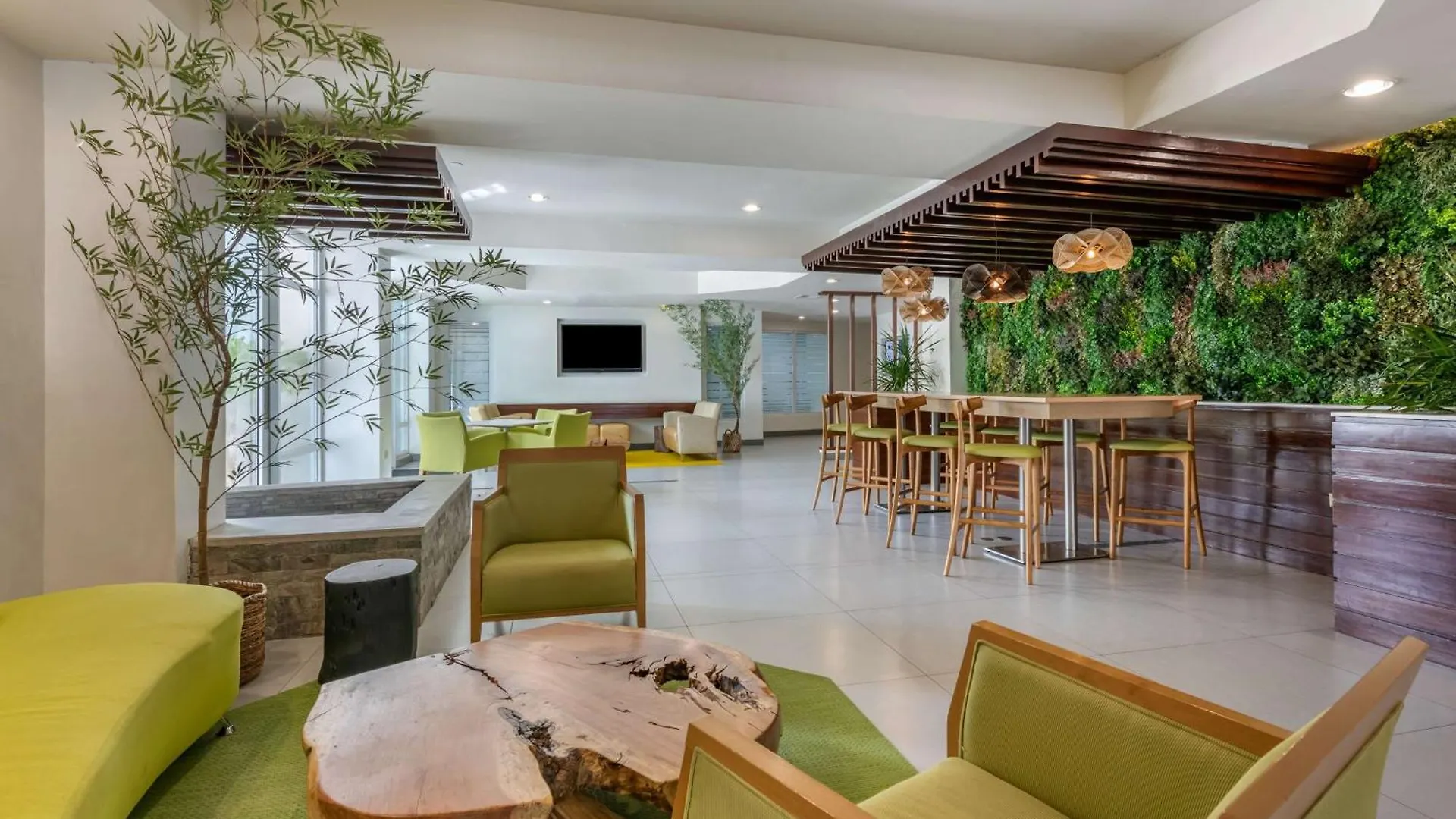 Hotel Condado Palm Inn San Juan, Tapestry Collection By Hilton