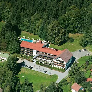 https://hotel-bavaria-zwiesel.com-bavaria.com